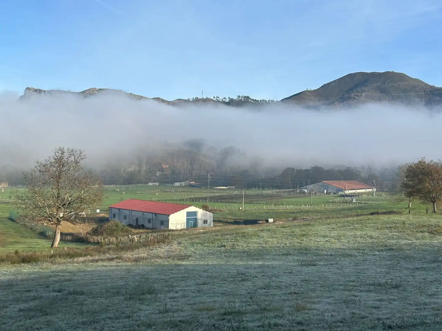 Vista exterior de Nave industrial en venta en Cangas de Onís