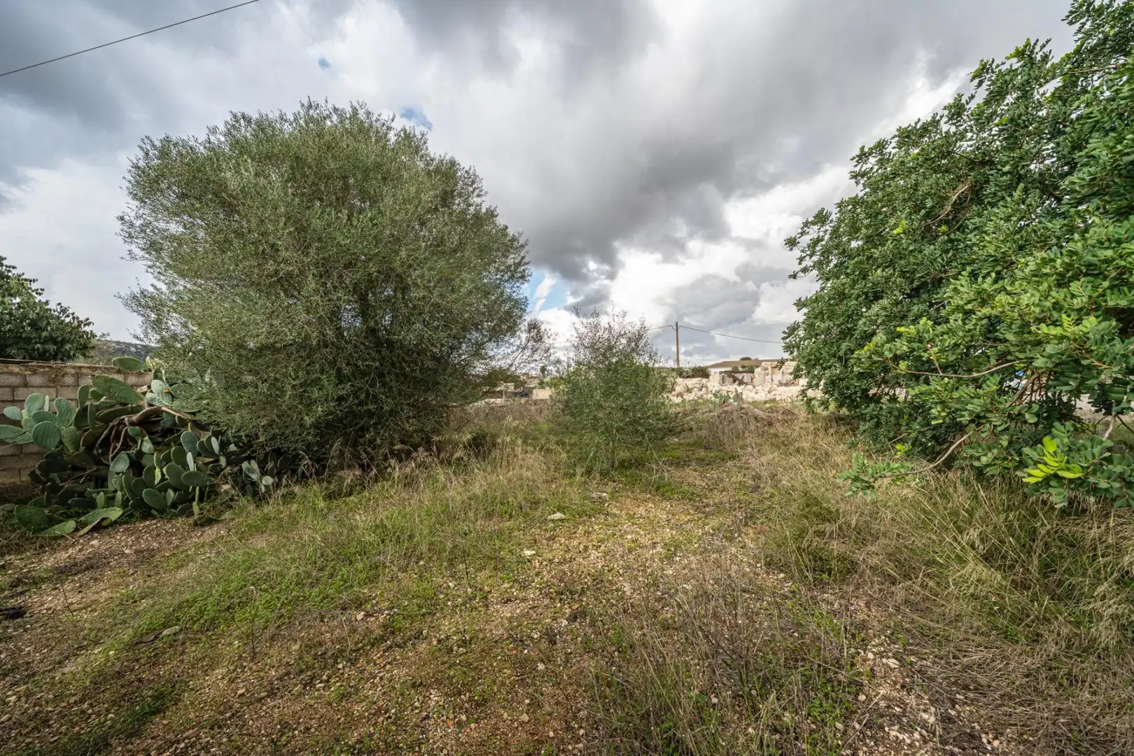 Rural land for sale in Felanitx Poble, imagen 8