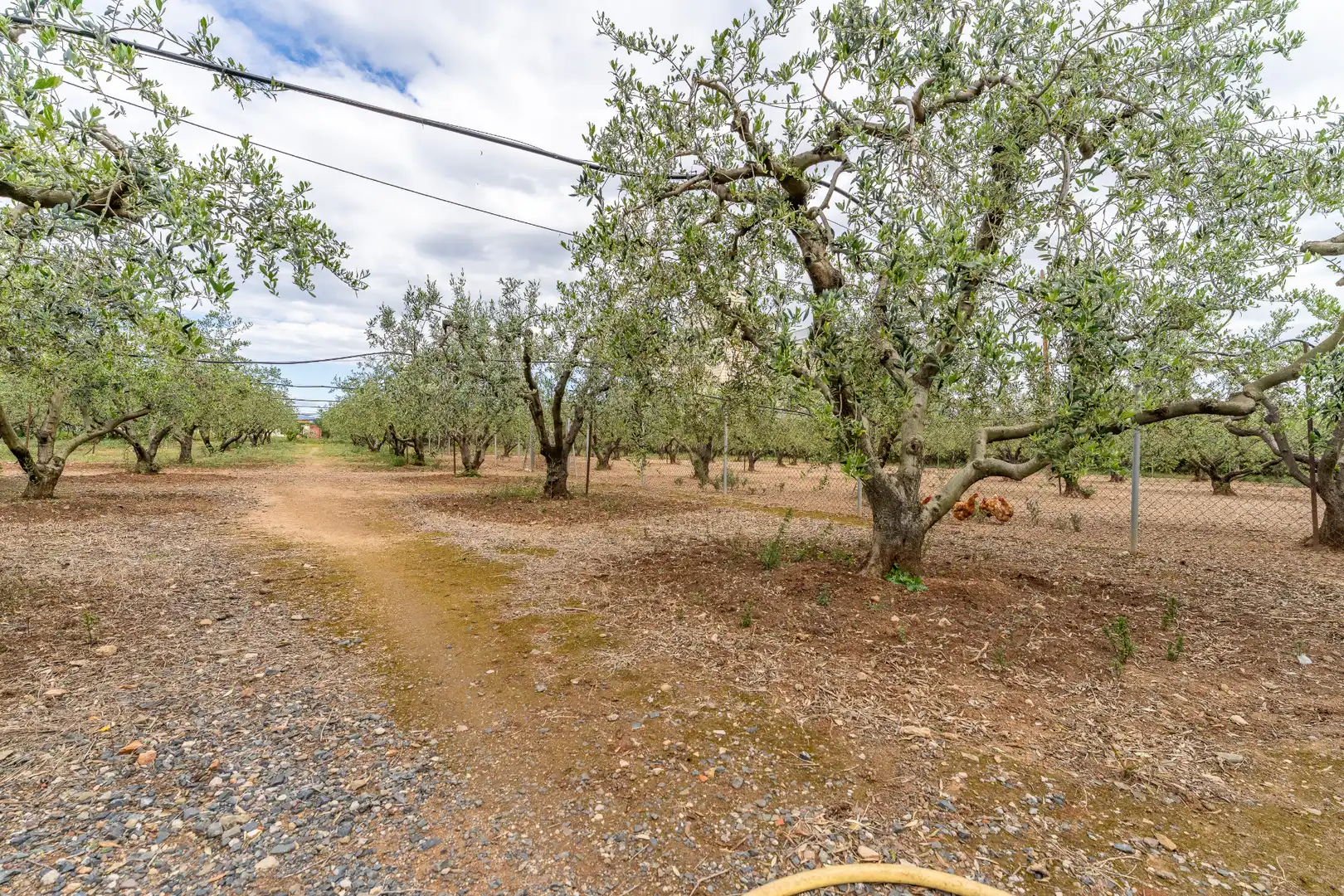 Casa o xalet en venda en Reus amb Calefacció, Jardí privat i Terrassa