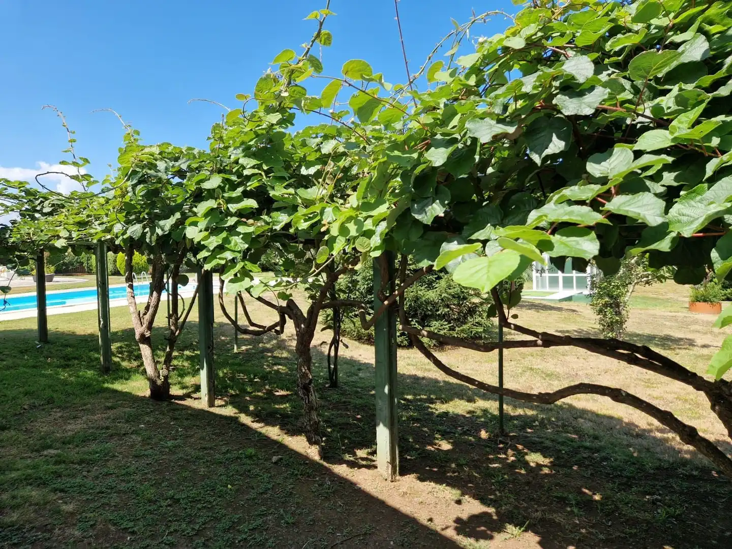 Jardí de Casa o xalet en venda en Oleiros amb Calefacció, Jardí privat i Terrassa