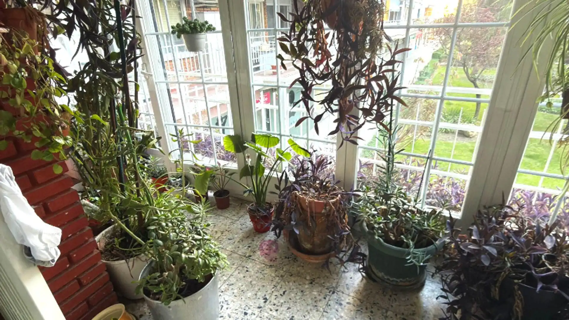 Piso en venta en Norte - Universidad