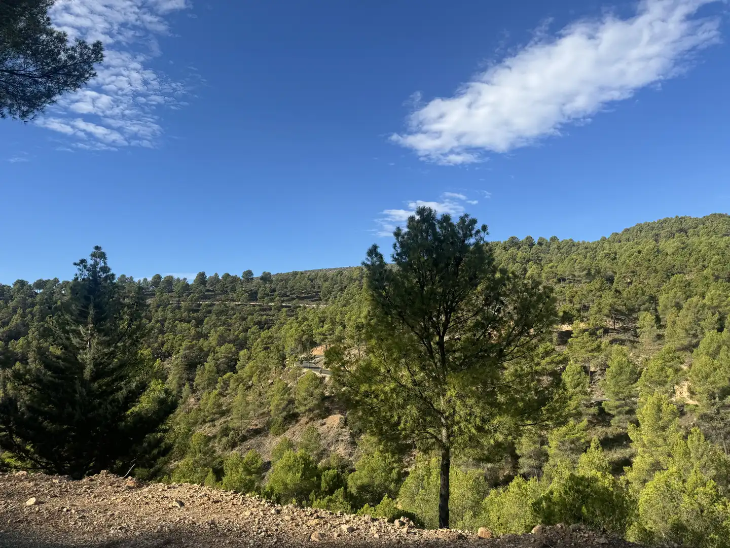 Terreny rústic en venda a Caravaca de la Cruz, imagen 4