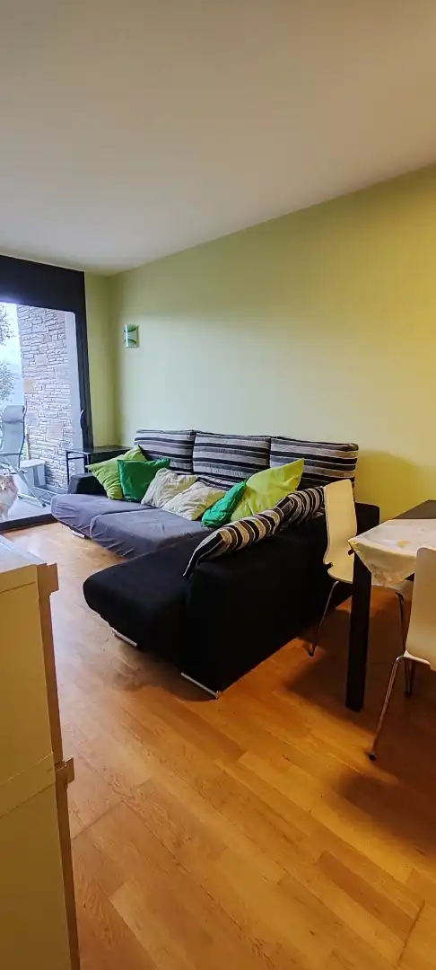 Living room of Flat for sale in Montferrer i Castellbò  with Heating, Private garden and Terrace
