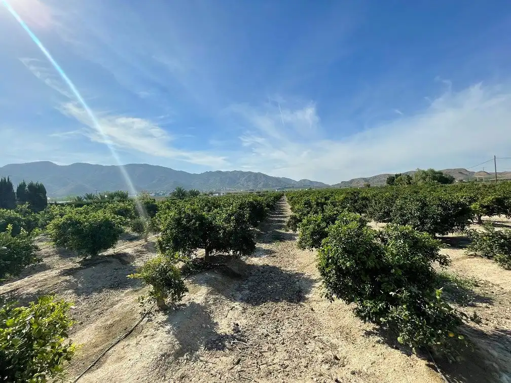 Terreno en venta en Redován