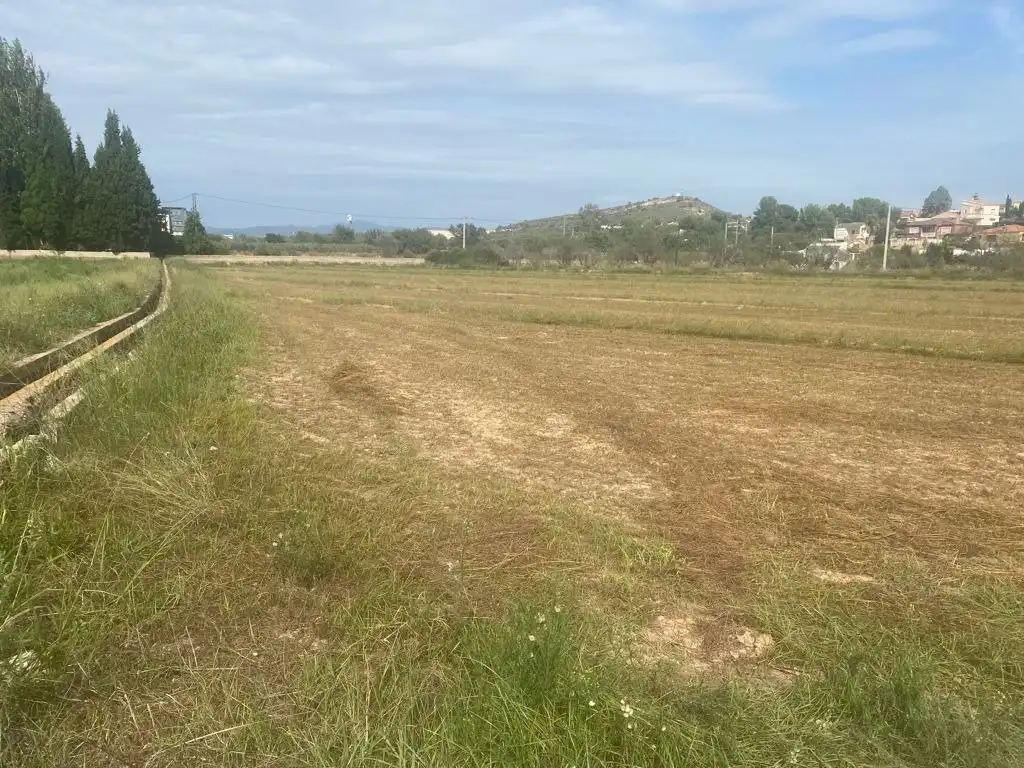 Terrain rustique à vendre à Santa Bárbara, imagen 4