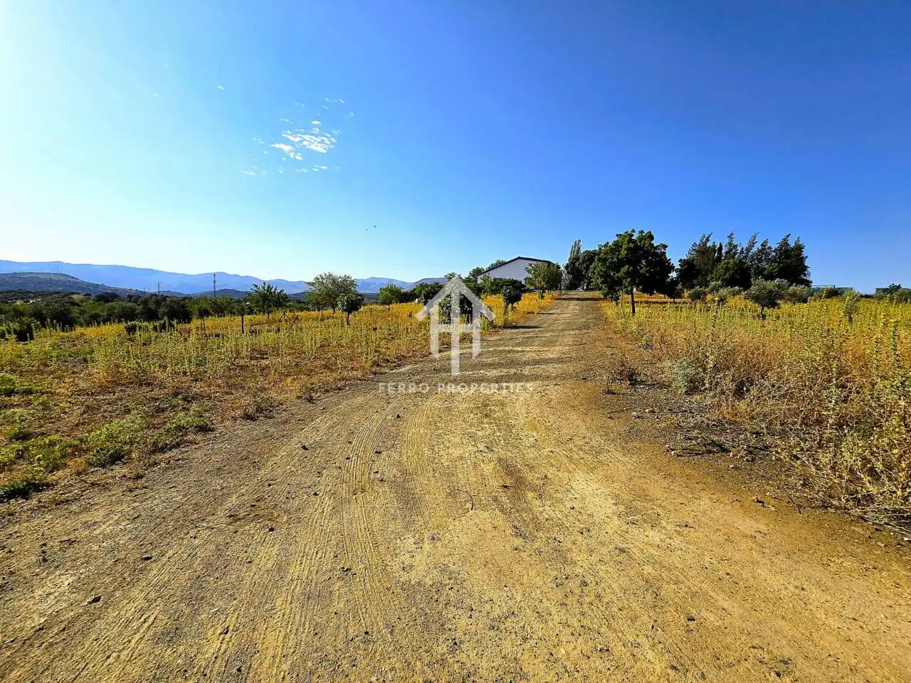 Chalet con jardín en venta en Calle Puerto los Claveles, imagen 44