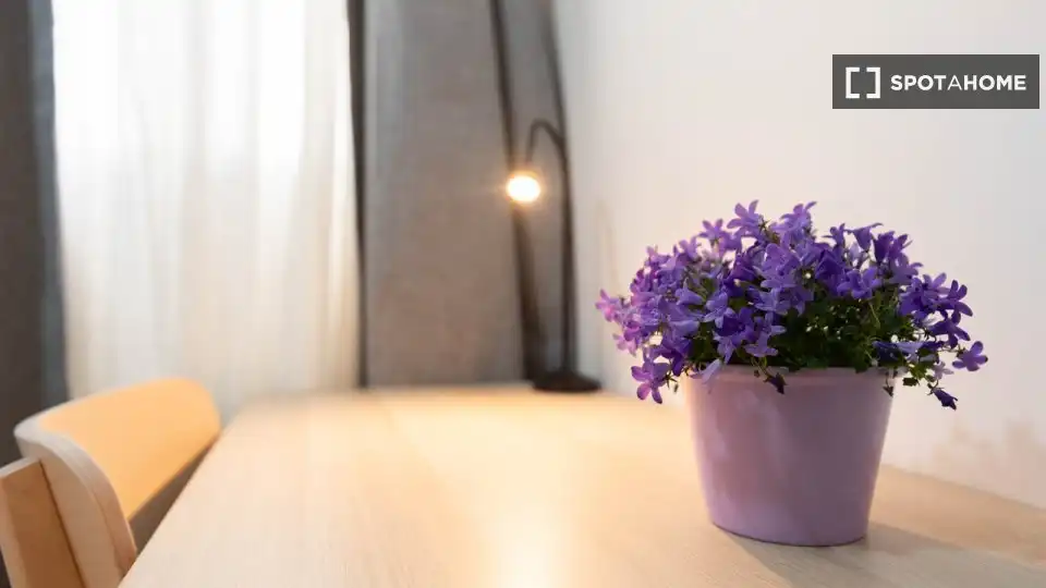 Room in Embajadores - Lavapiés