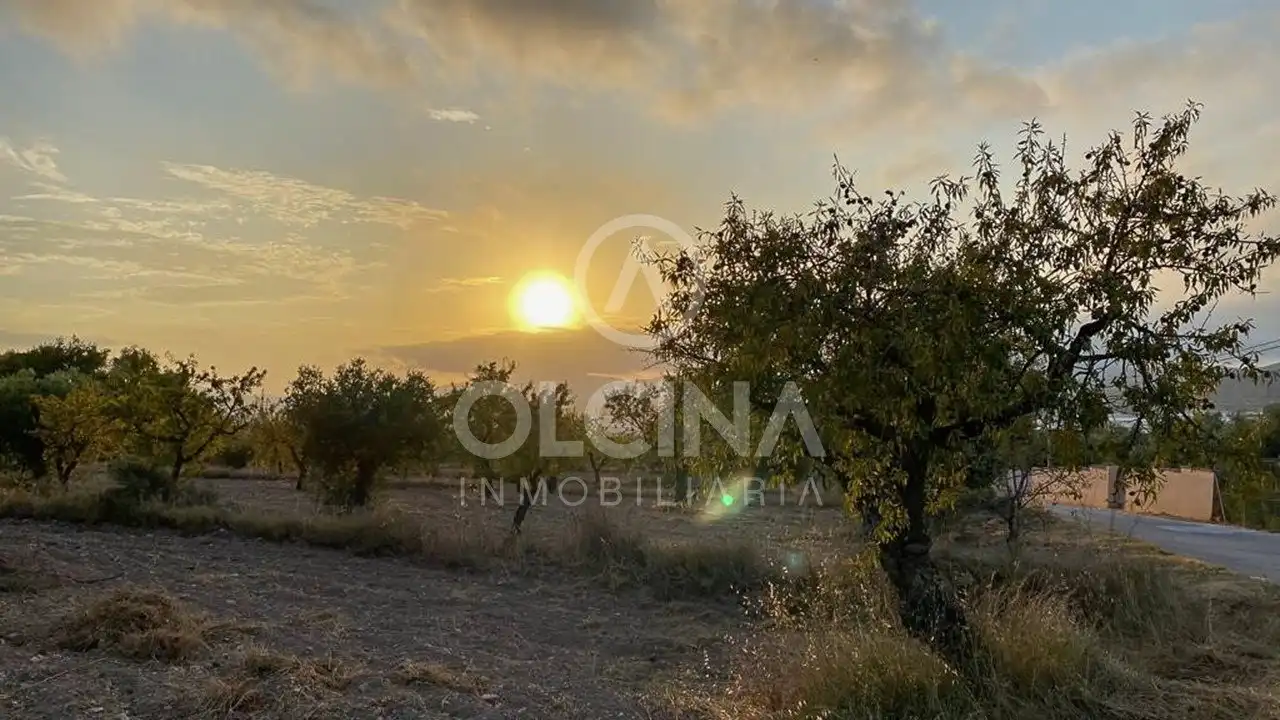 Terreno rústico en venta en Ibi, imagen 3