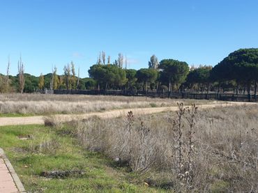 Terreny residencial en venda a Aldeamayor de San Martín