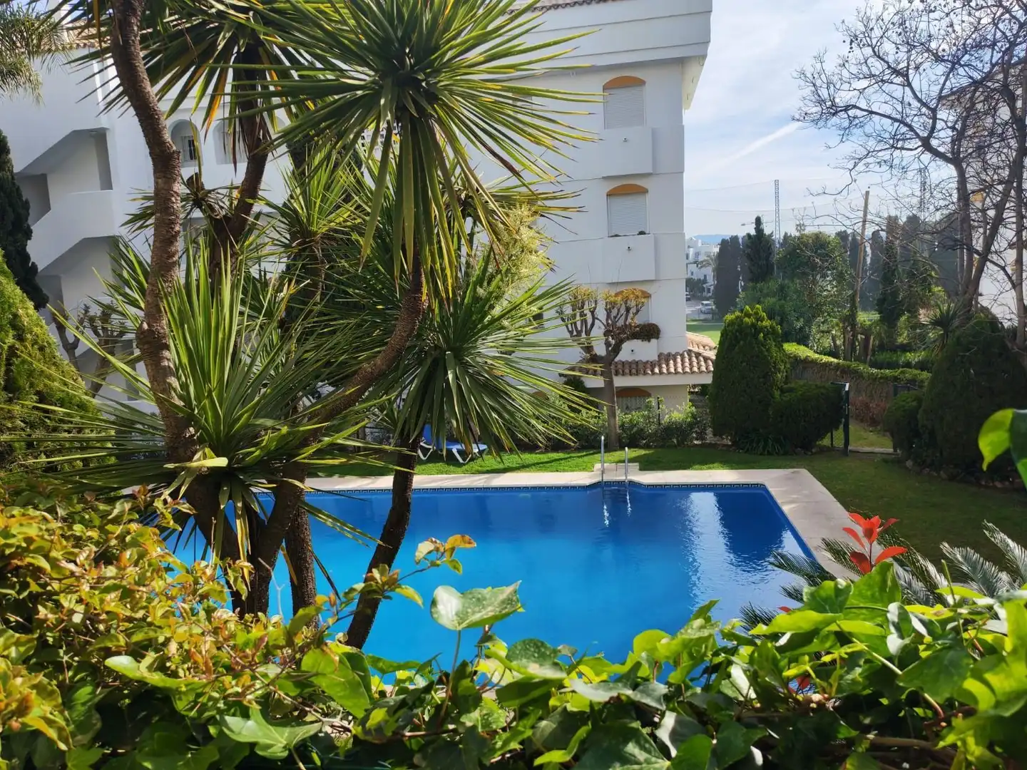 Swimming pool of Apartments for rent in Marbella  with Air Conditioner, Private garden and Furnished
