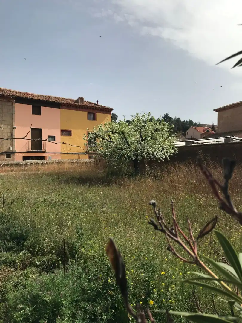 Finca rústica en venta en Cosuenda