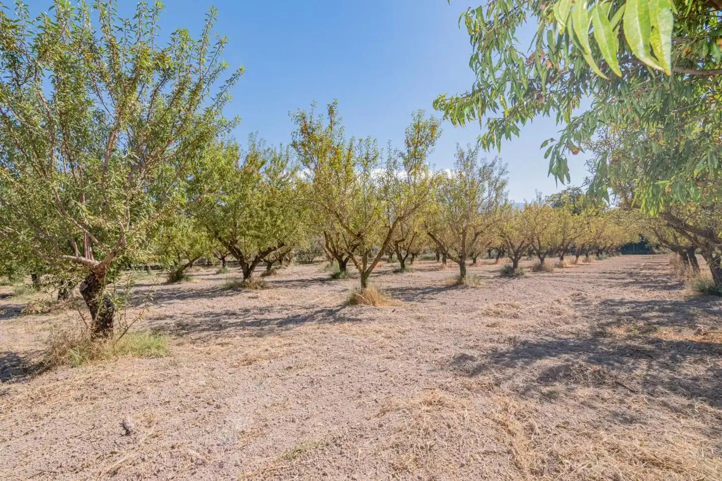 Country house for sale in Calle de Rocio Durcal, imagen 24