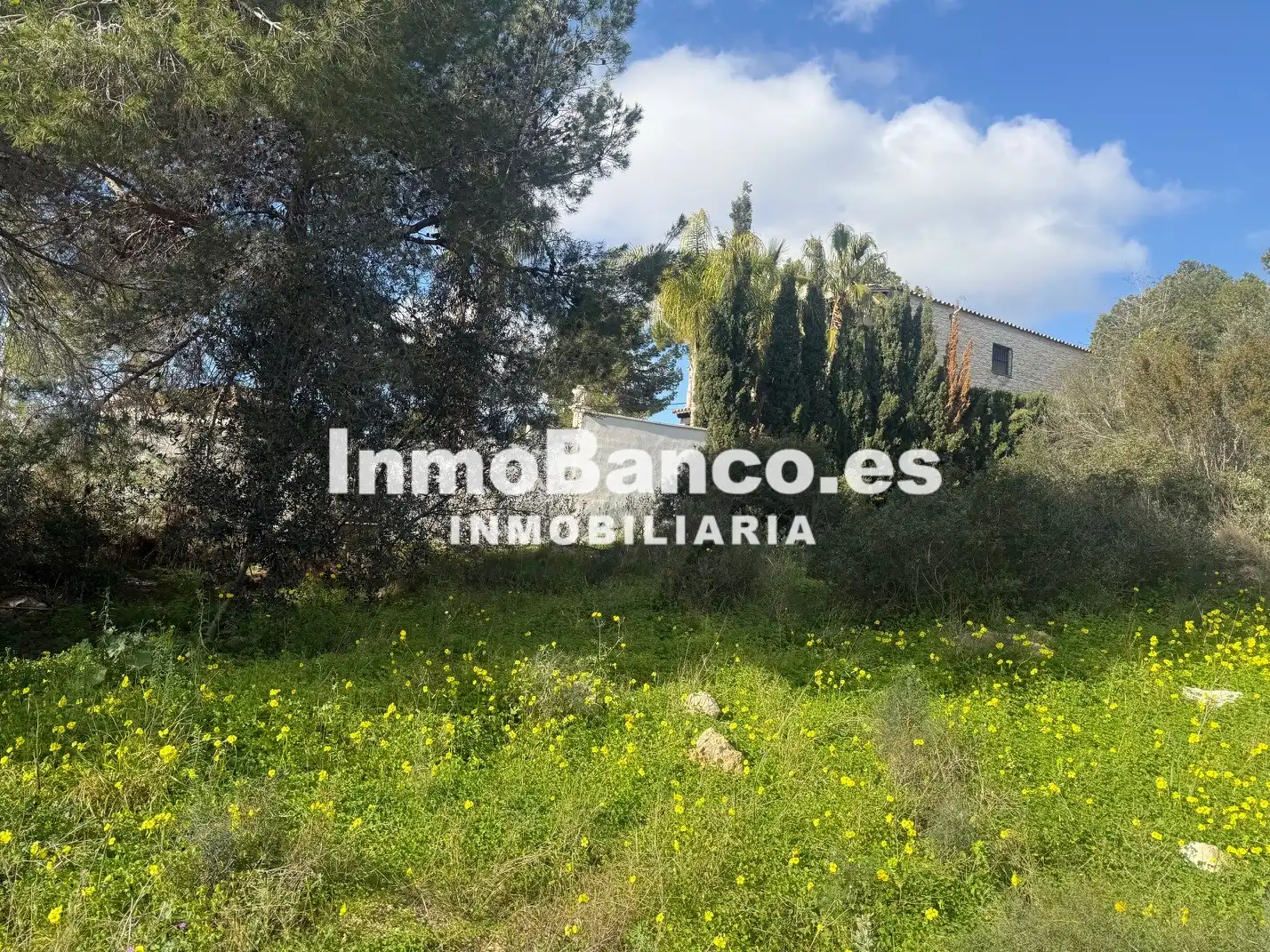 Residential land for sale in Calle Felipe II 50, imagen 4