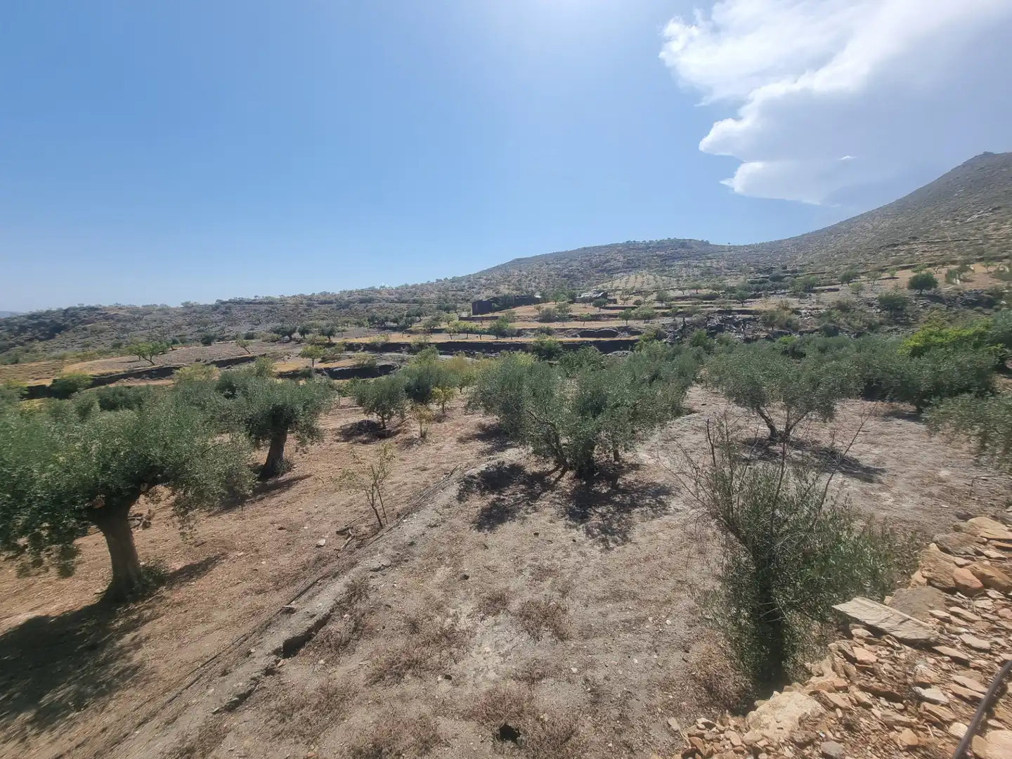 Terreno en venta en Senés