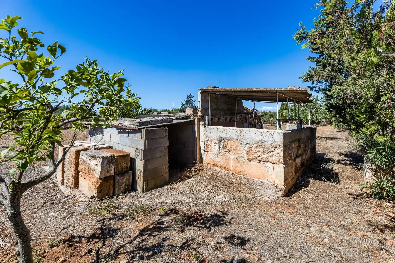 Rustikales Grundstück zum Verkauf in Llucmajor pueblo, imagen 36