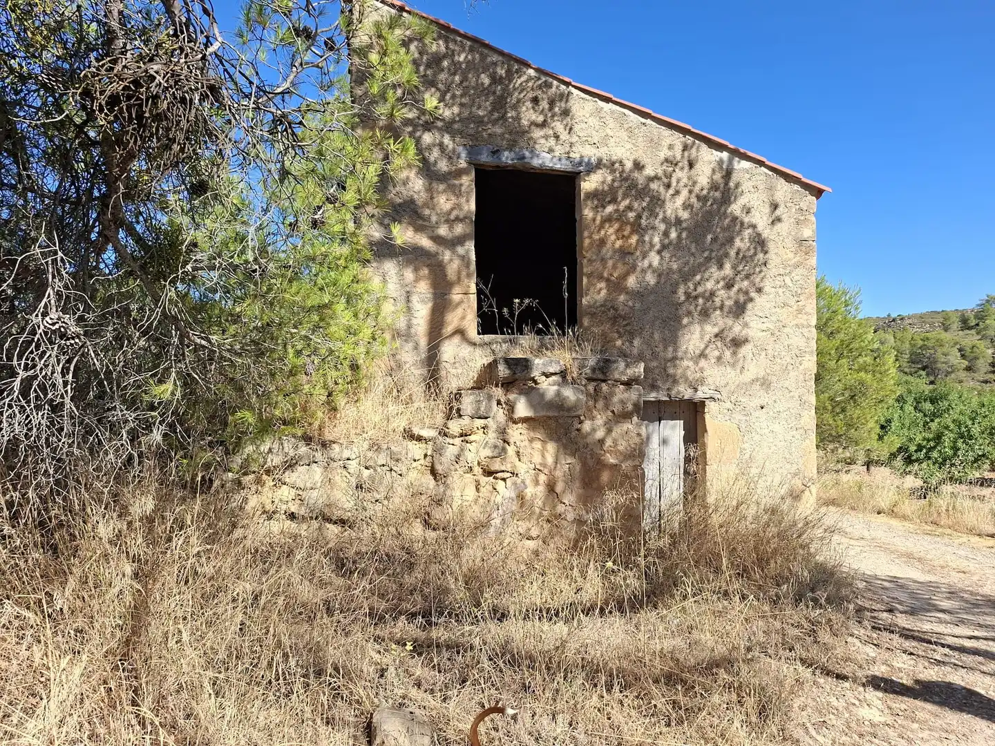 Vista exterior de Finca rústica en venta en Maella