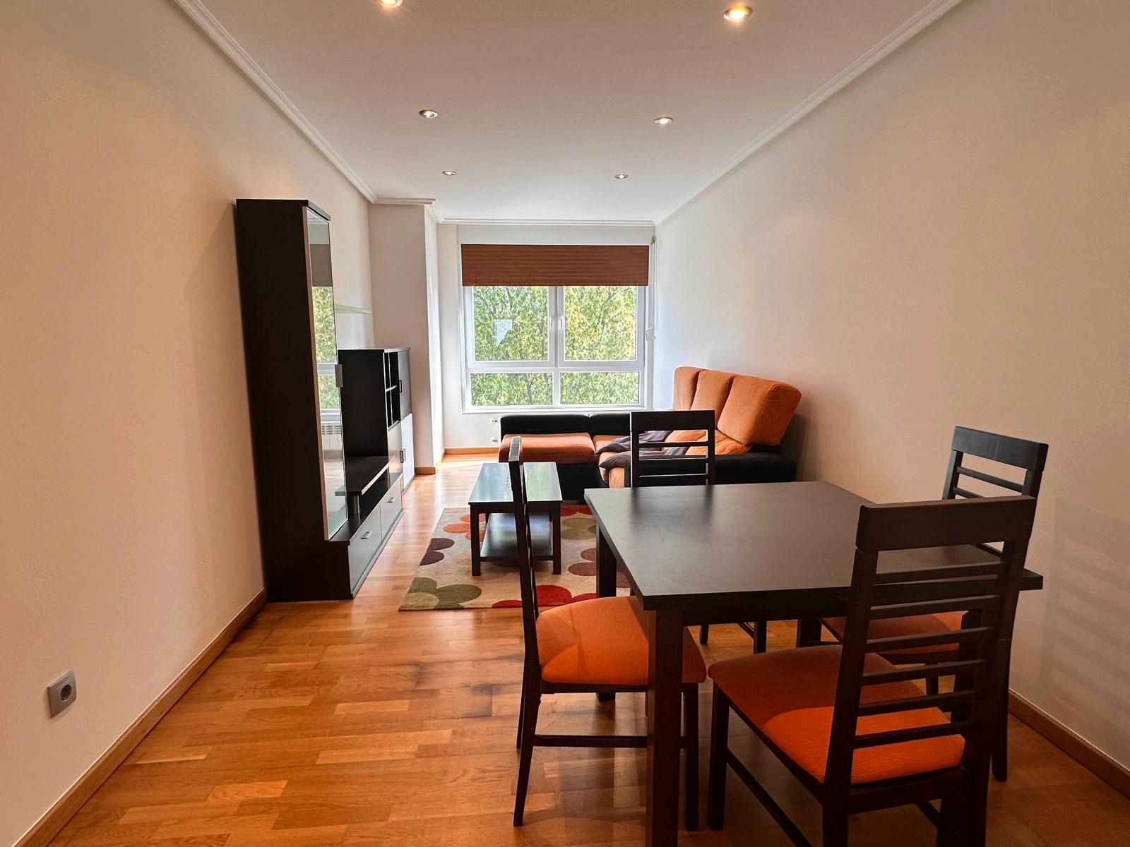 Sala d'estar de Pis de lloguer en Santiago de Compostela  amb Calefacció, Traster i Moblat