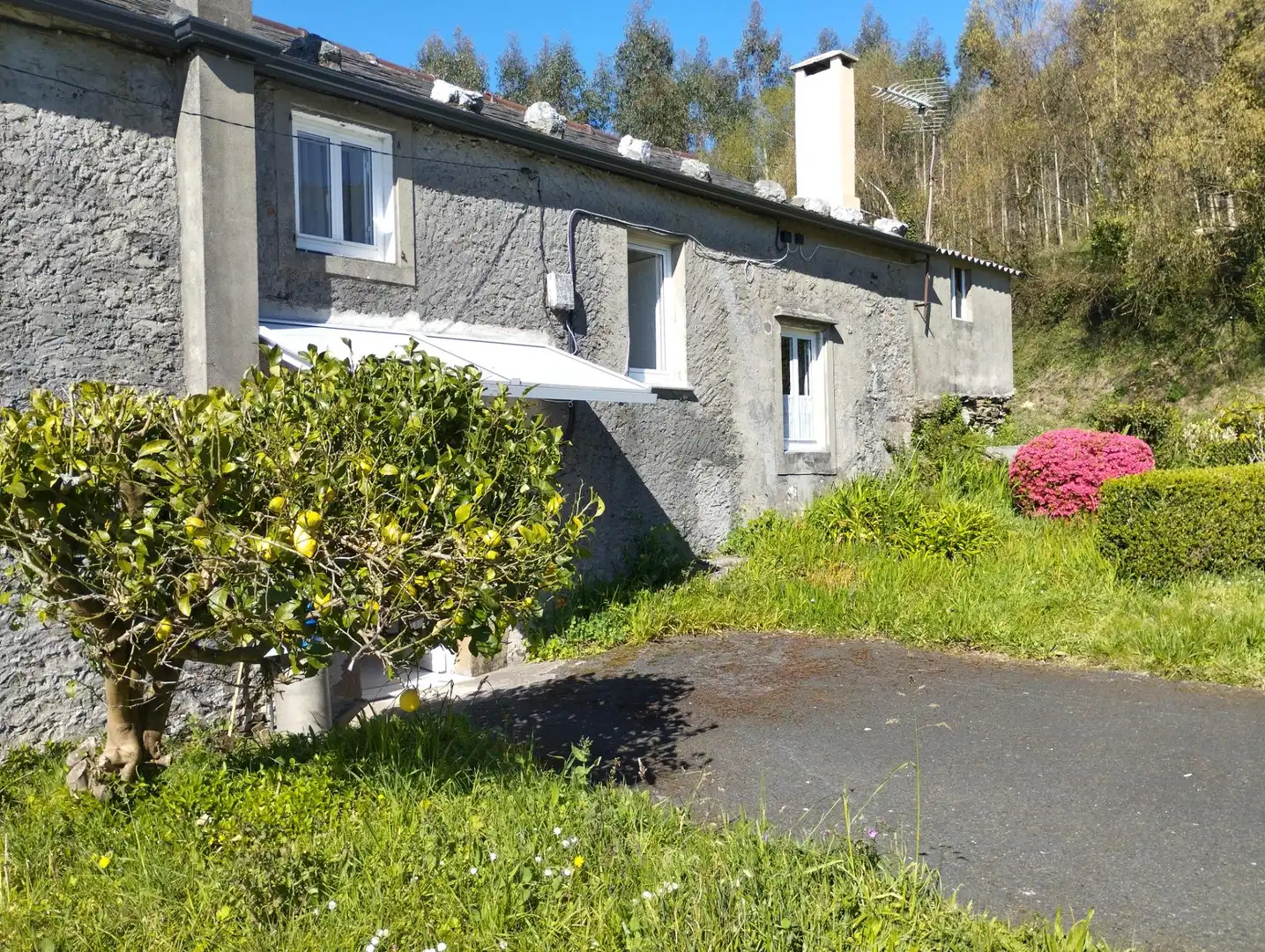 Vista exterior de Casa o xalet en venda en As Somozas  amb Calefacció, Jardí privat i Moblat