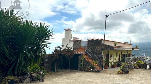 Foto 3 de Finca rústica en venta en La Vega - El Amparo - Cueva del Viento, Icod de los Vinos