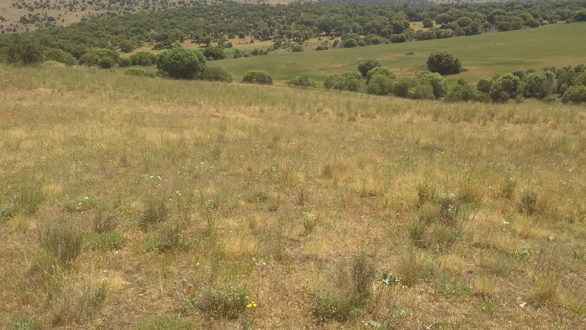 Terreno en venta en Mediana de Voltoya