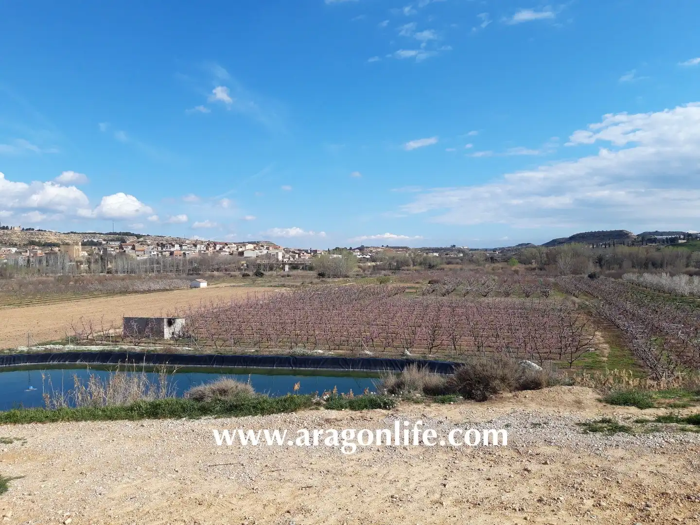 Casa o chalet en venta en Fabara