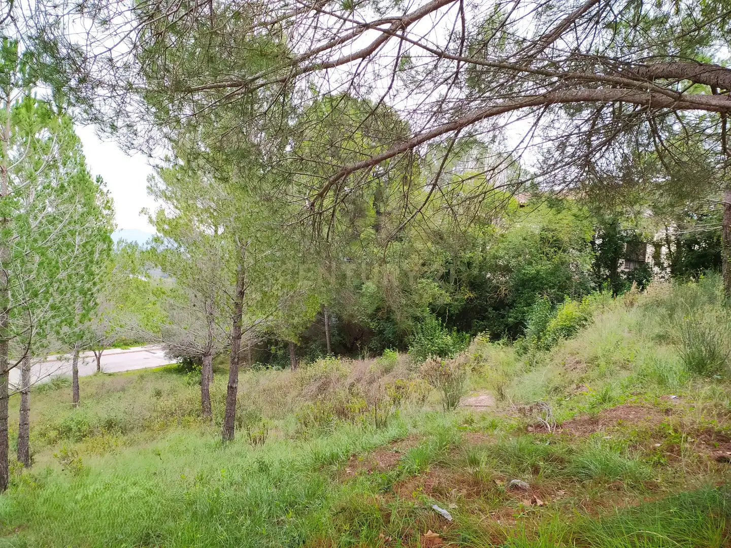Residential land for sale in Ronda Pagesia 67C, imagen 12