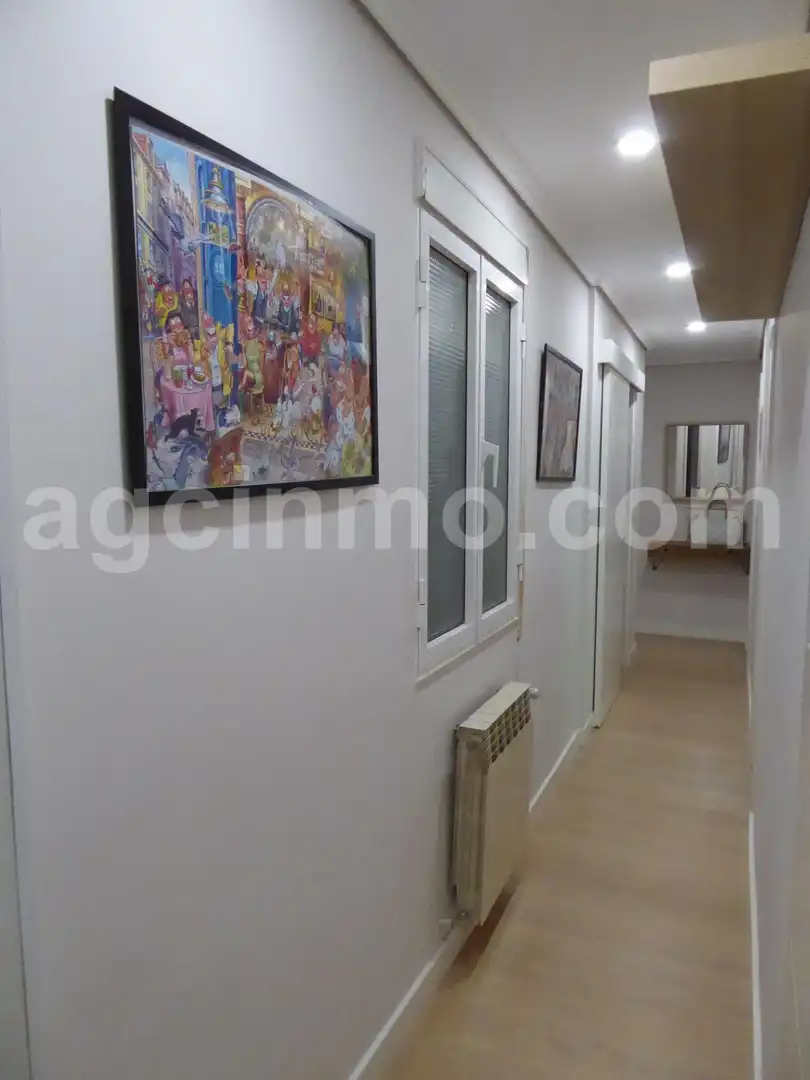 Flat for rent in Paseo Paseo de Zorrilla, Plaza de Toros