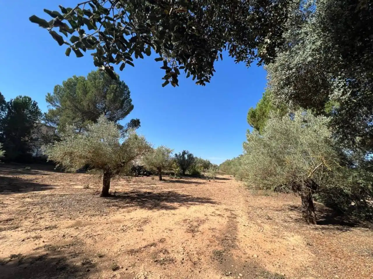 Chalet en venta en Banyeres de Mariola, imagen 36