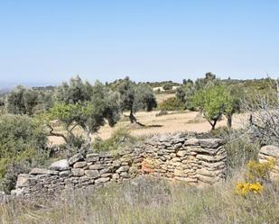 Terreny en venda en Valdealgorfa