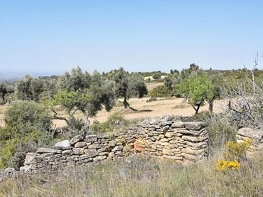 Rustikales Grundstück zum Verkauf in Valdealgorfa