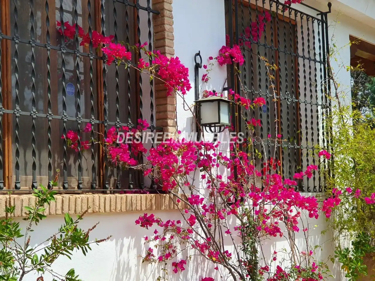 Chalet con piscina en venta en Calle Carrasca, imagen 2