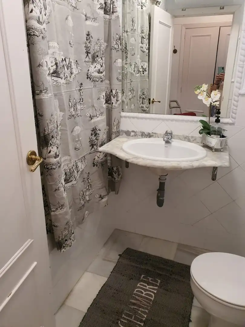 Bany de Apartament de lloguer en Sevilla amb Aire condicionat, Parquet i Terrassa