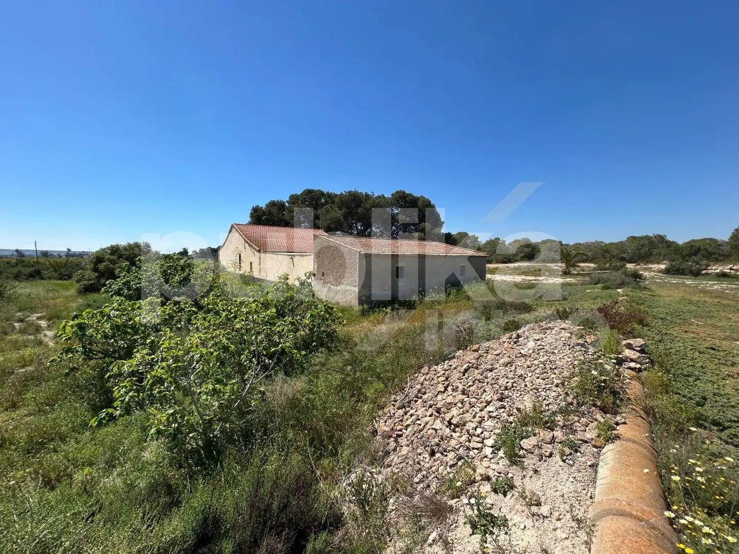 Finca rústica en venda en Elche / Elx amb Jardí privat