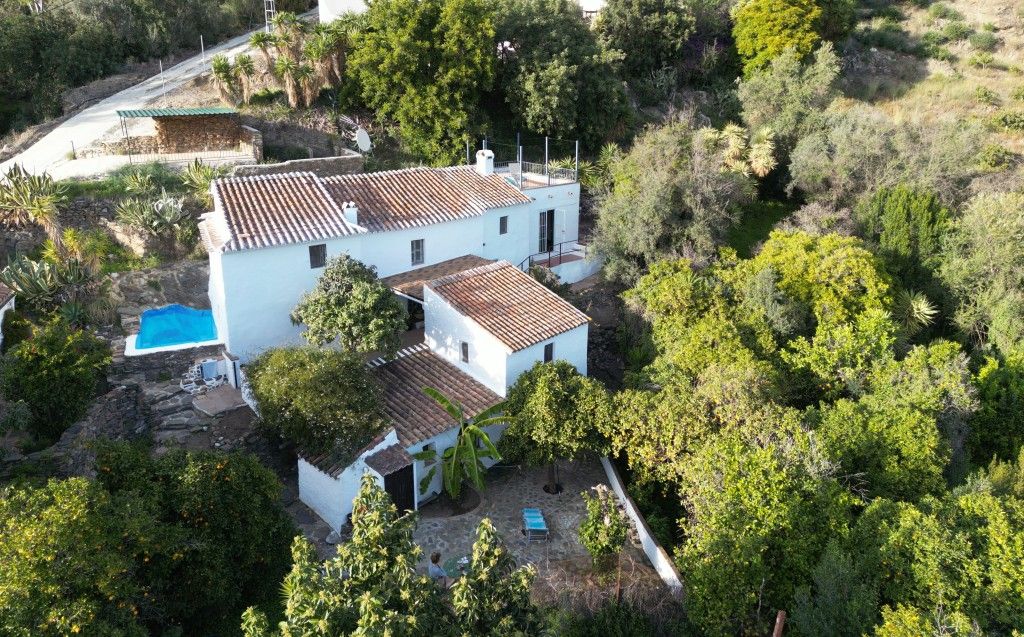 Vista exterior de Finca rústica en venda en Benamargosa amb Jardí privat i Piscina
