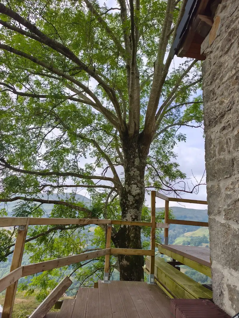 Jardín de Casa o chalet en venta en San Roque de Riomiera con Calefacción y Terraza