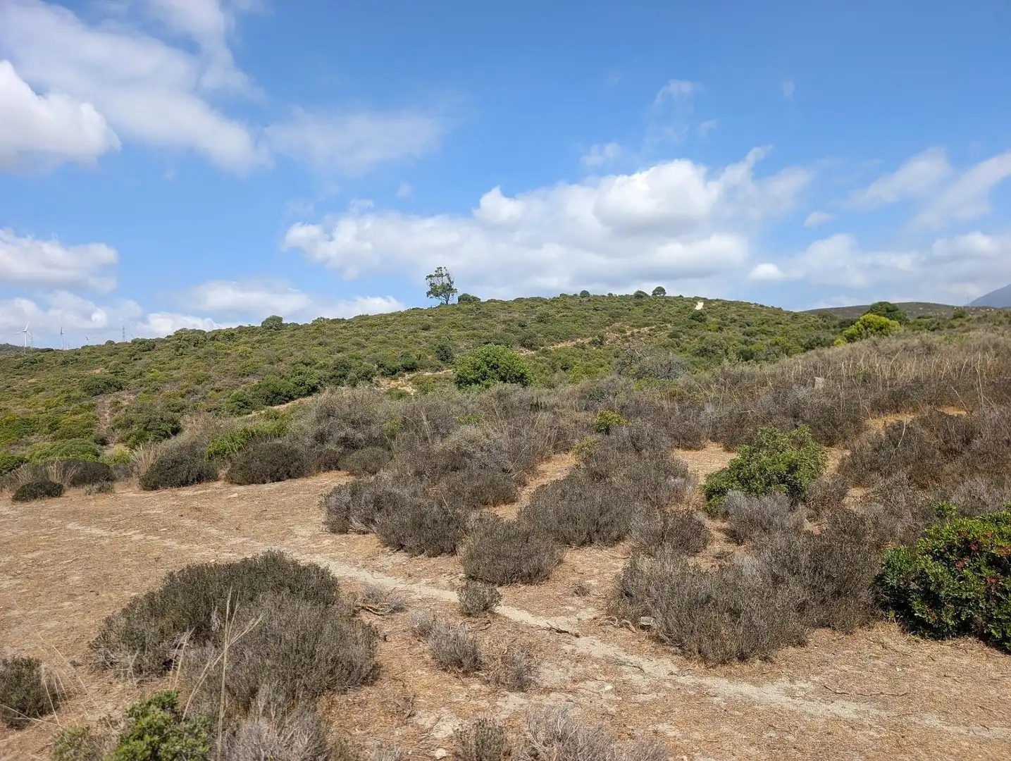 Terreno rustico in vendita a Casares 10, imagen 3