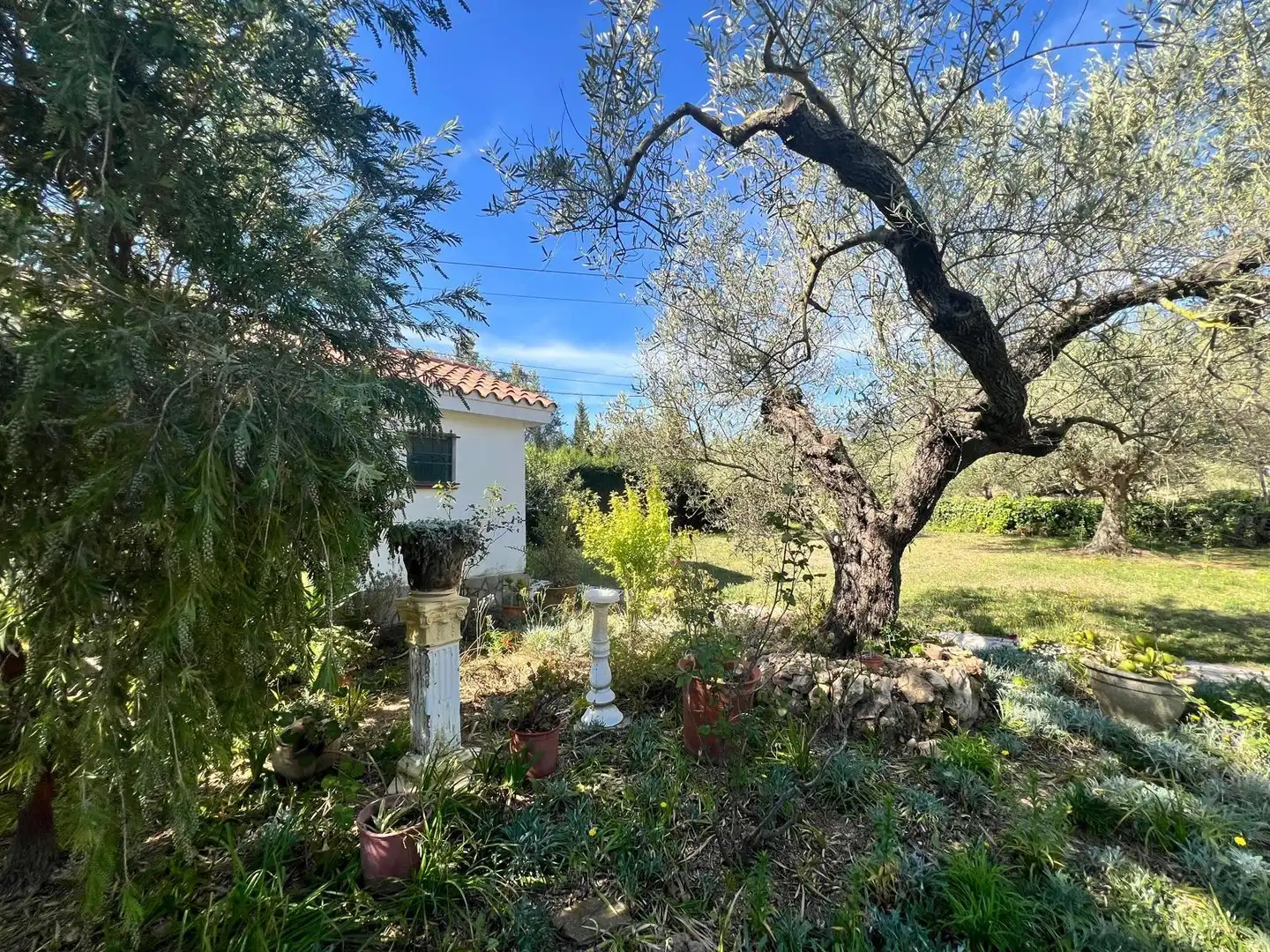 Garten von Haus oder Chalet zum Verkauf in La Ràpita mit Privatgarten, Terrasse und Möbliert