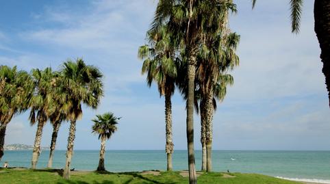 Foto 2 de Estudi de lloguer a Maritimo Ciudad de Melilla, La Malagueta - Monte Sancha, Málaga Capital
