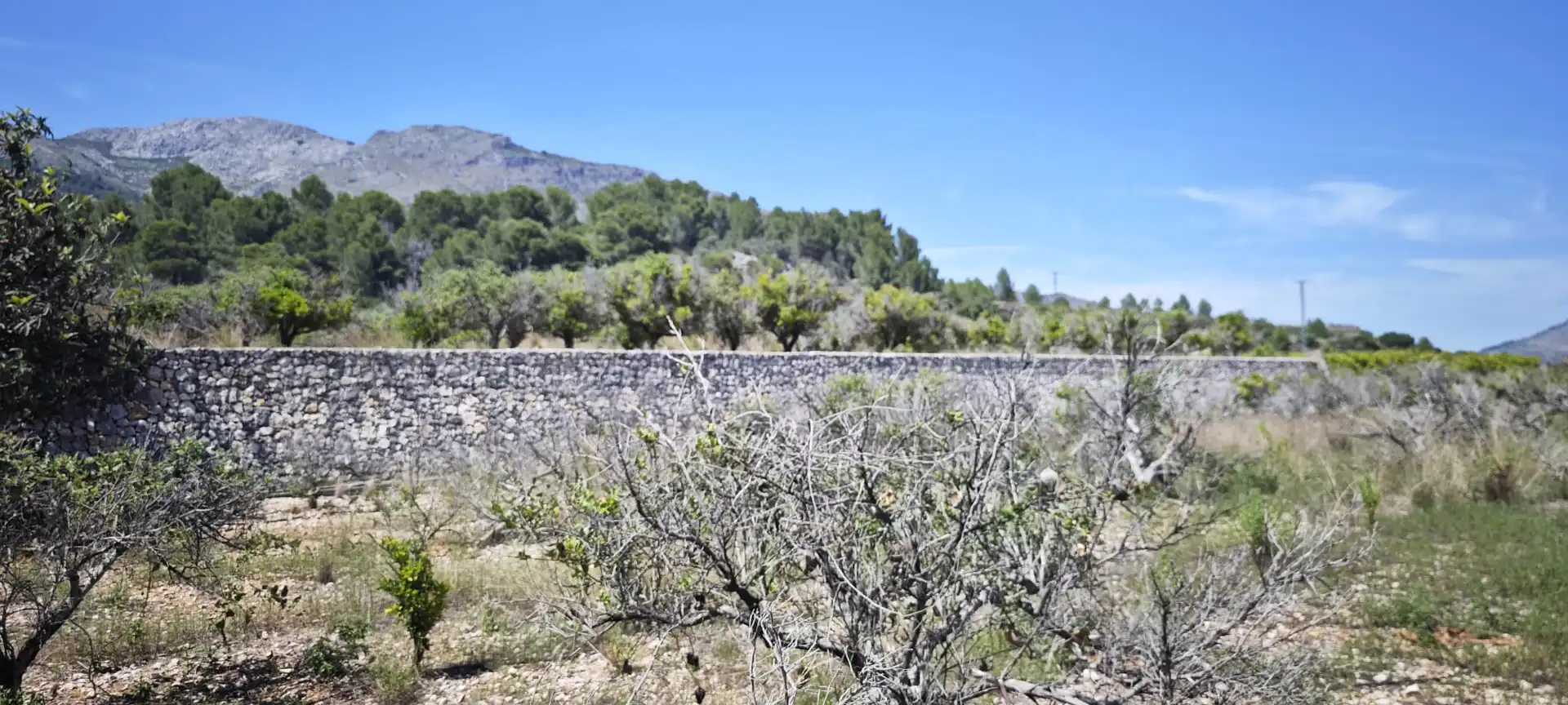 Residential land for sale in Tormos, imagen 34