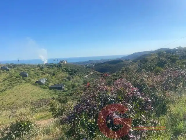 Finca rústica en venta en Camino Viejo de Málaga