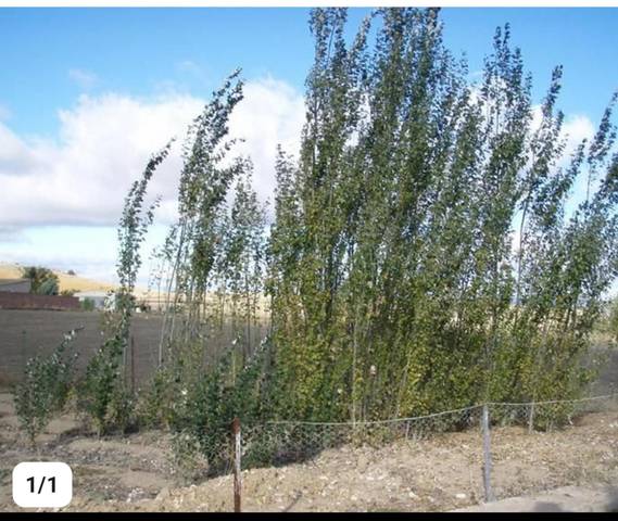 Terreno en Venta en Calle Molinos, 1 en Corral de Calatrava