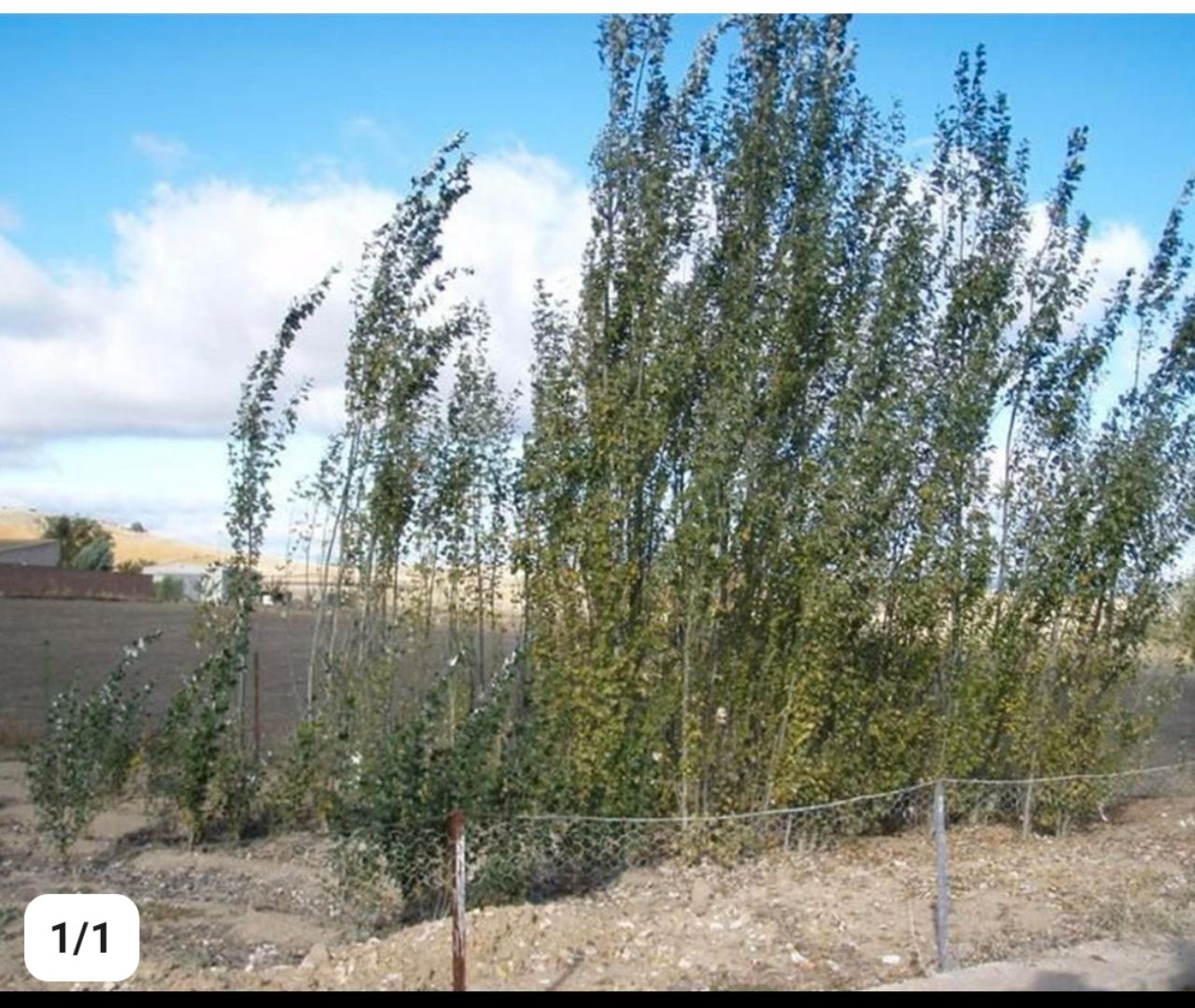 Exterior view of Land for sale in Corral de Calatrava