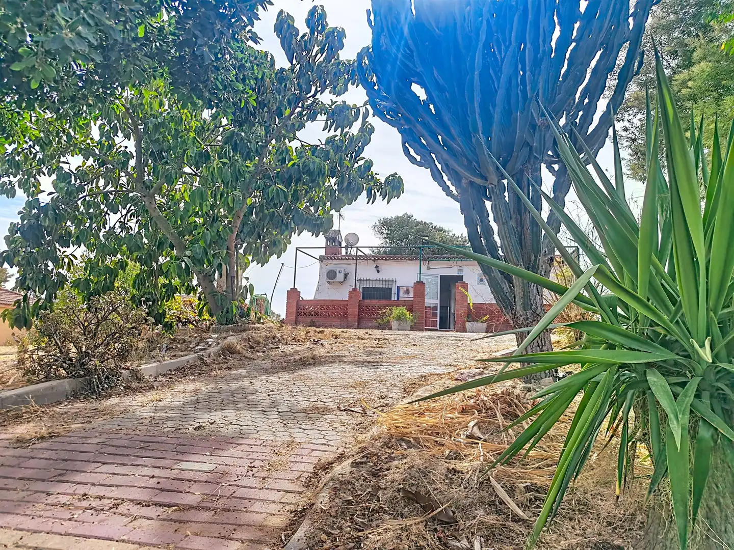 Casa rústica con piscina en venta en Gibraleón, imagen 34