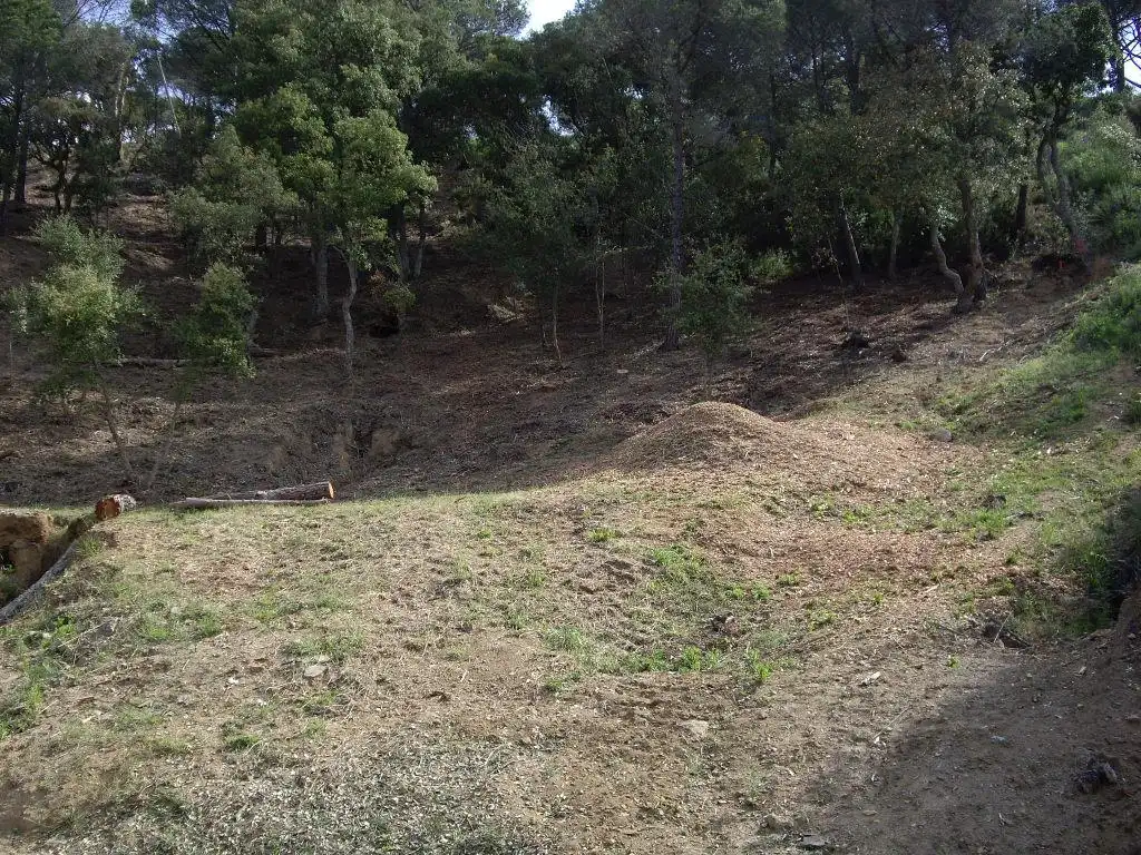 Residential land for sale in Eucaliptus