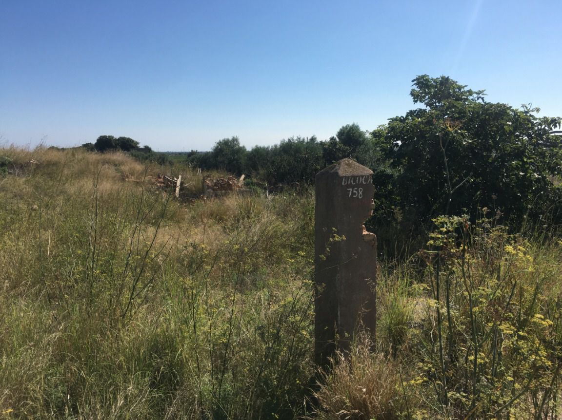 Finca rústica en venda en Castellón de la Plana / Castelló de la Plana
