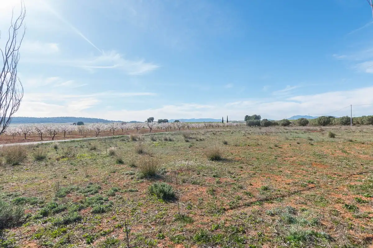 Casa rústica amb jardí en venda a ARDAL. MULA (Murcia), imagen 32