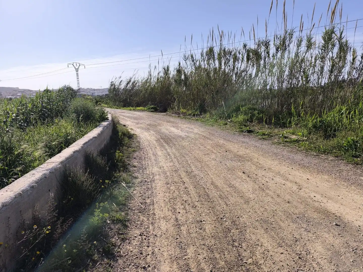 Terreno en venta en Benijófar