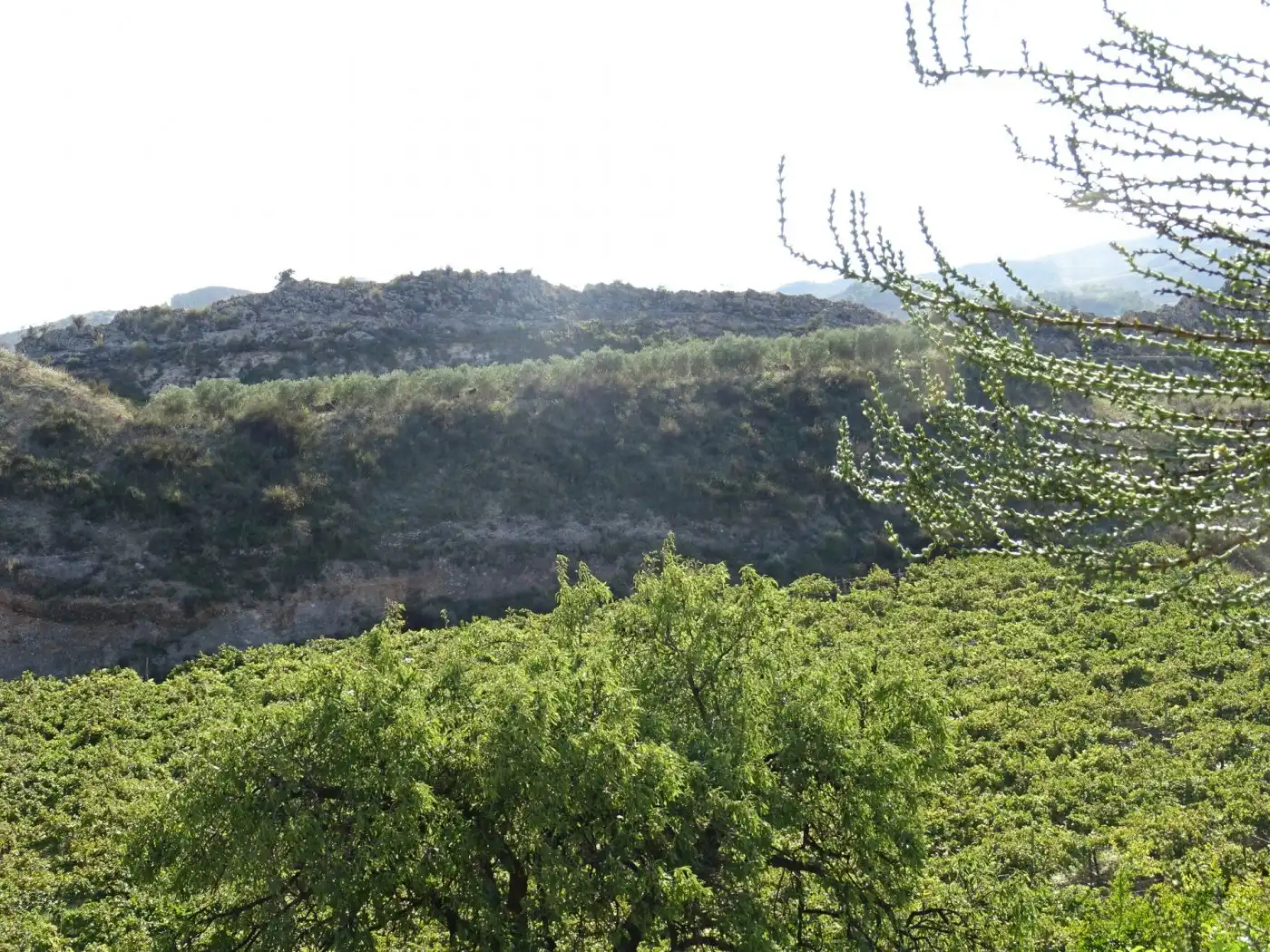 Casa o xalet en venda a Pedanías Este