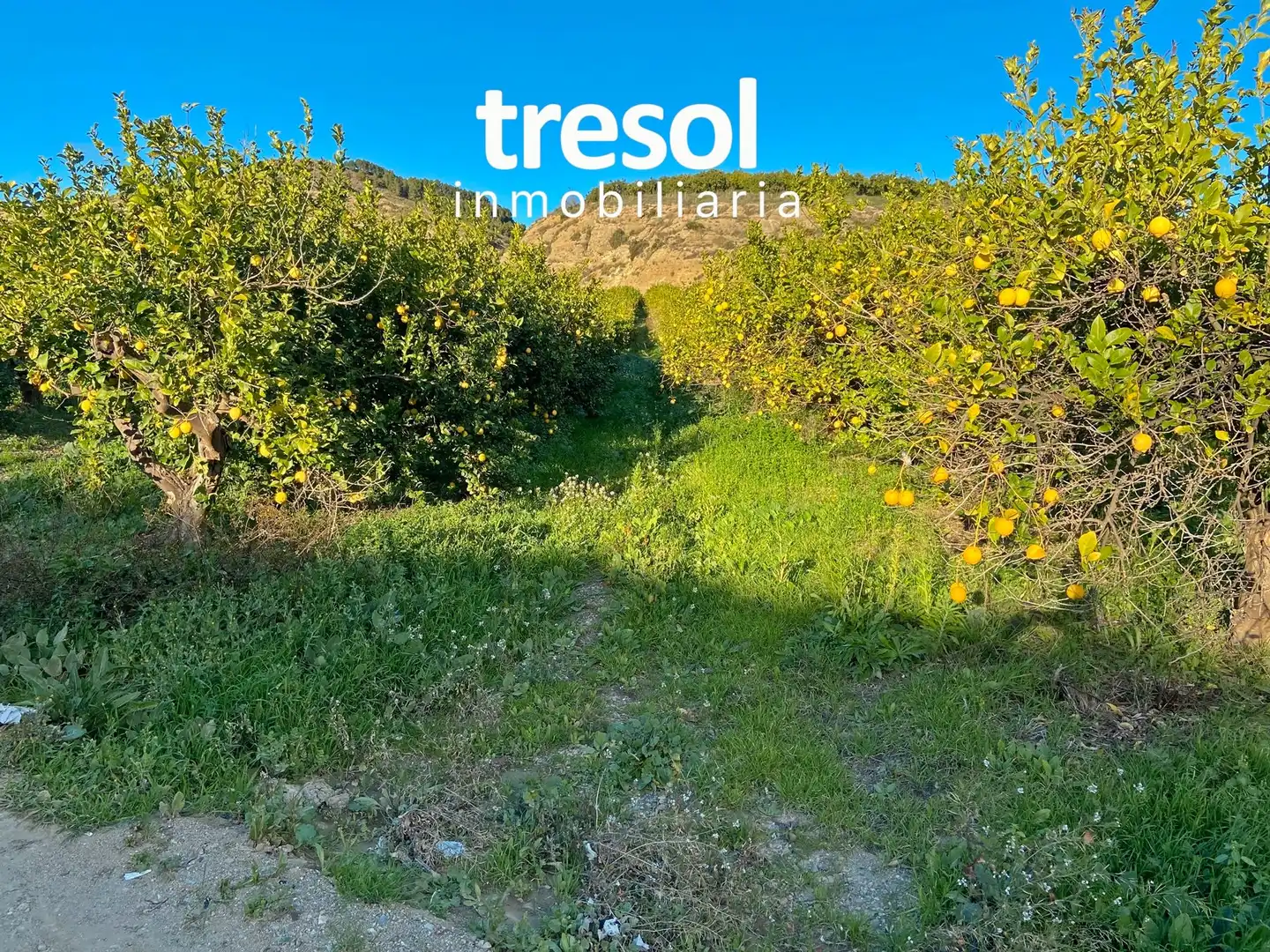 Terreno rustico in vendita a Centro, imagen 3