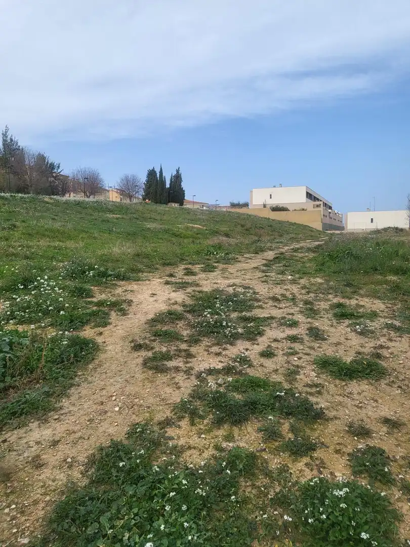 Terreno residenziale in vendita a Albaida, imagen 3